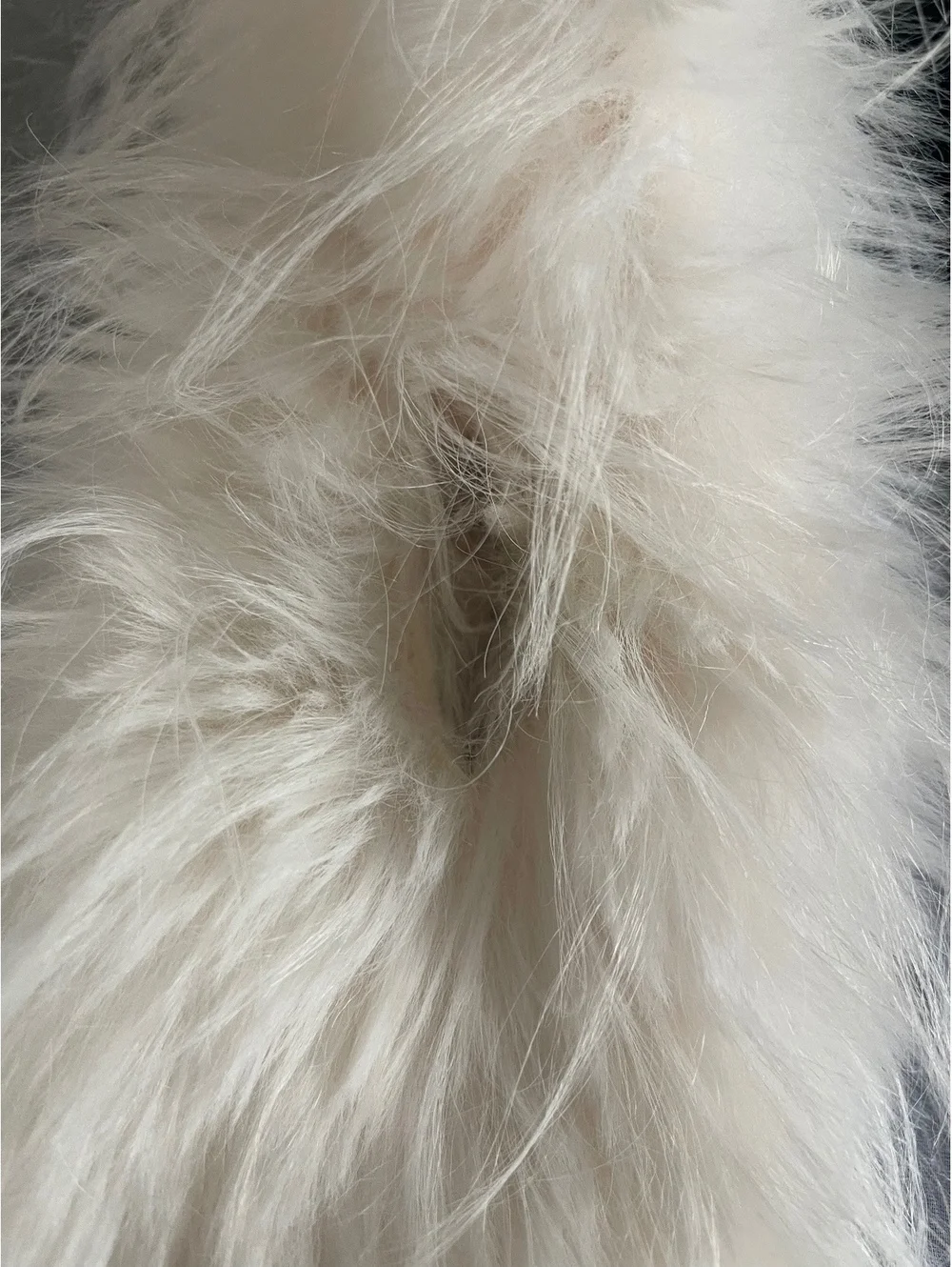 White Faux Feather Scarf
